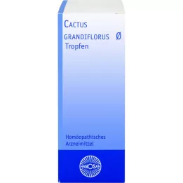 CACTUS GRANDIFLORUS Nalewka z matki Hanosan, 20 ml