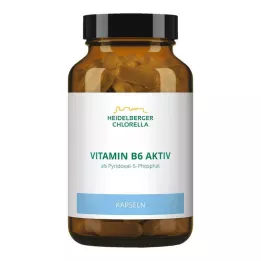 VITAMIN B6 KAPSUŁKI, 120 szt