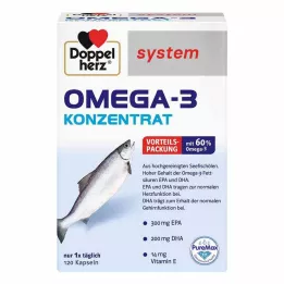 DOPPELHERZ Kapsułki z koncentratem Omega-3, 120 szt