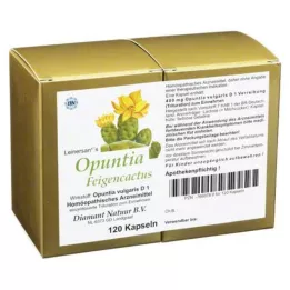 OPUNTIA FEIGENCACTUS Kapseln, 120 szt