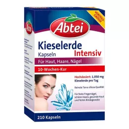 ABTEI Kapsułki krzemionkowe 210 szt