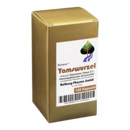 YAMSWURZEL Kapseln, 120 szt