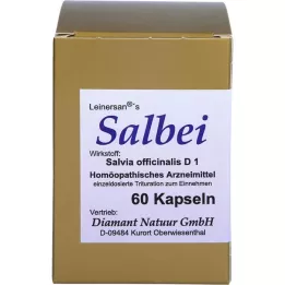 SALBEI kapsułki, 60 szt