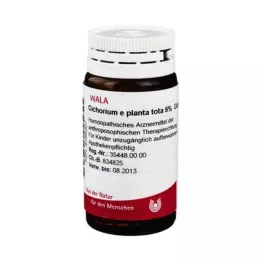 CICHORIUM E planta tota 5% kuleczki, 20 g