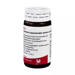 GLANDULA SUPRARENALIS dekstran z Cupro Globuli, 20 g
