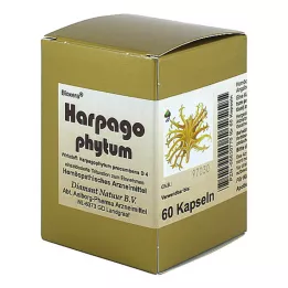HARPAGOPHYTUM BIOXERA kapsułki, 60 szt
