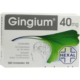 GINGIUM 40 mg tabletki z filmu, 120 szt