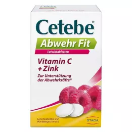 CETEBE Pastylki Abwehr Fit, 20 szt