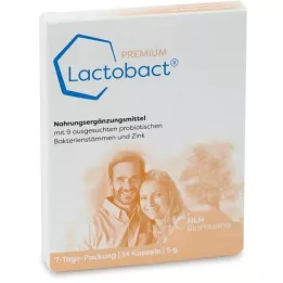 LACTOBACT PREMIUM 7-dniowy pakiet żołądka safts.kps., 14 szt