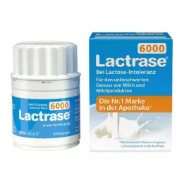 LACTRASE 6000 FCC kapsułek, 60 szt