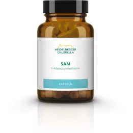 SAM S-ADENOSYLMETHIONIN kapsułki 60 szt