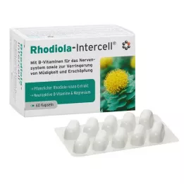 RHODIOLA-INTERCELL kapsułki 60 szt
