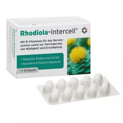 RHODIOLA-INTERCELL kapsułki 60 szt RHODIOLA-INTERCELL kapsułki 60 szt