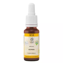 Bach kwiat nie. 13 gorsłowy organiczny, 20 ml