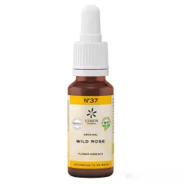 Bach kwiat nie. 37 Dzika róża organiczna, 20 ml