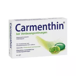 CARMENTHIN na zaburzenia trawienia msr.Kapsułki miękkie, 14 szt