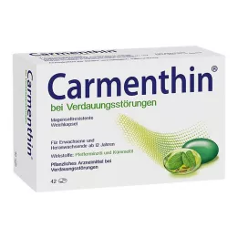 CARMENTHIN na zaburzenia trawienia msr.Kapsułki miękkie, 42 szt