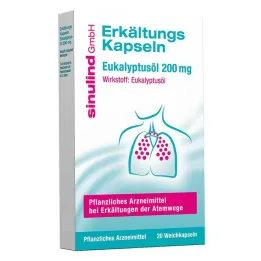 sinulind® kapsułki zimne, 20 szt