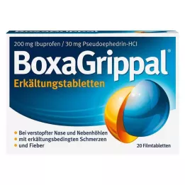 BOXAGRIPPAL Tabletki na przeziębienie 200 mg/30 mg FTA, 20 szt