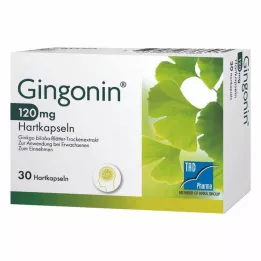 GINGONIN 120 mg kapsułki twarde, 30 szt