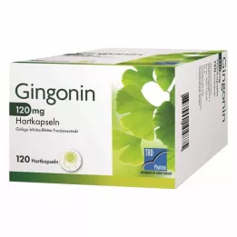 GINGONIN 120 mg kapsułki twarde, 120 szt