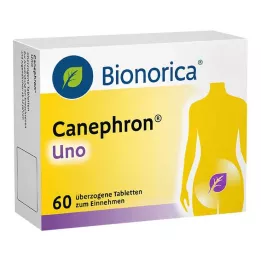 CANEPHRON Tabletki powlekane jednoskładnikowe, 60 szt