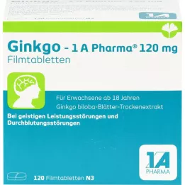 GINKGO-1A Pharma 120 mg tabletki z powlekaniem filmowym, 120 szt