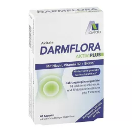 DARMFLORA Aktiv Plus 100 miliardów bakterii + 7 witamin, 40 szt