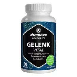 GELENK VITAL kapsułki 90 szt