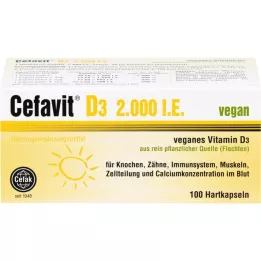 Cefavit D3 2000 I.e. Hard Capsules, 100 szt