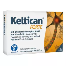 KELTICAN kapsułki forte 80 szt