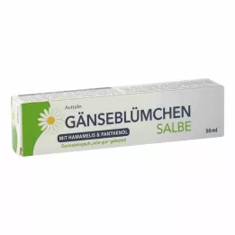 GÄNSEBLÜMCHEN Maść z oczarem wirginijskim & Pantenol, 50 ml