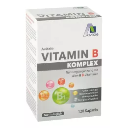 VITAMIN B KOMPLEX kapsułki 120 szt