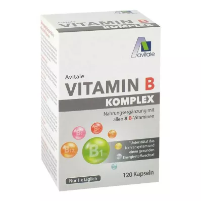 VITAMIN B KOMPLEX kapsułki 120 szt