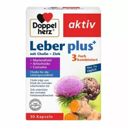 DOPPELHERZ Wątroba plus z choliną+cynk kapsułki, 30 szt