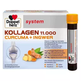 DOPPELHERZ Kolagen 11 000 Curcuma+Ingw.system TRA, 30X25 ml