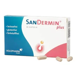 Sandermin plus kapsułki, 28 szt