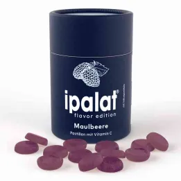 Ipalat Pastilles Flavour Edition Morwa (40 sztuk)