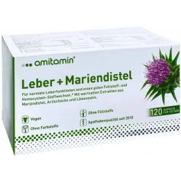 Amitamin ostropest plamisty + kapsułki wątrobowe (120 sztuk)