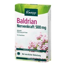 Kneipp Valerian Nerve Power 500 mg tabletki powlekane, 30 szt
