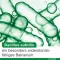 Bioticloges subtilis kapsułki, 30 szt